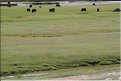 MNG_060812_1249