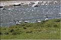 MNG_060812_1309