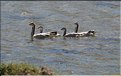 MNG_060812_1310b