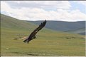 MNG_060812_1337