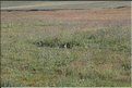 MNG_060813_1402
