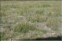 MNG_060813_1405