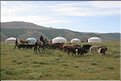MNG_060813_1420