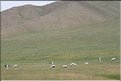 MNG_060813_1433
