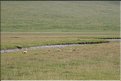 MNG_060813_1435