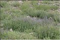MNG_060813_1442