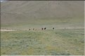 MNG_060813_1826
