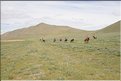 MNG_060813_1835
