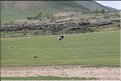 MNG_060813_1848