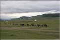 MNG_060814_1485