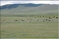 MNG_060814_1502