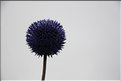 MNG_060814_1510