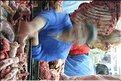 MNG_060815_1571