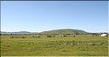 MNG_060815_1587 (1)