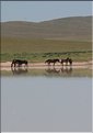MNG_060815_1620b