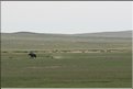 MNG_060816_1715