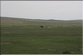 MNG_060816_1716