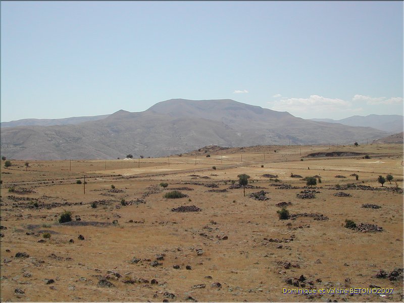 TR2007_0032