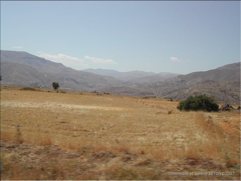 TR2007_0033