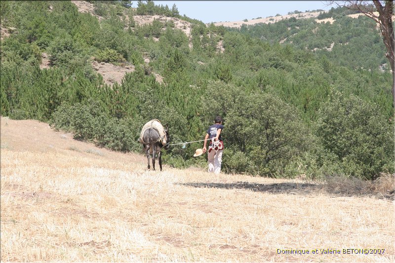 TR2007_0070