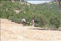 TR2007_0070
