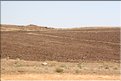 TR2007_0083