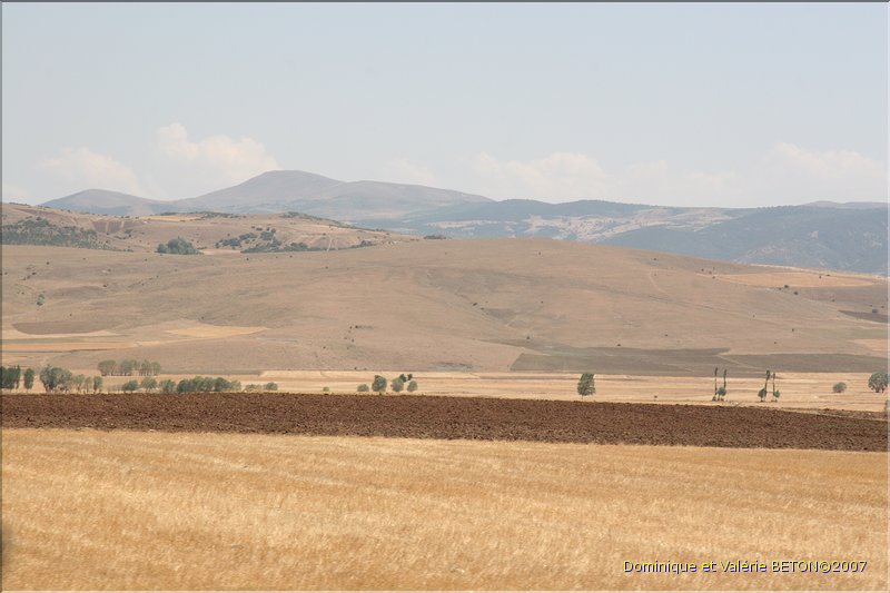 TR2007_0085
