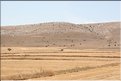 TR2007_0087