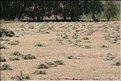 TR2007_0101