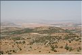 TR2007_0106