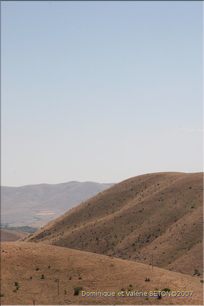 TR2007_0112