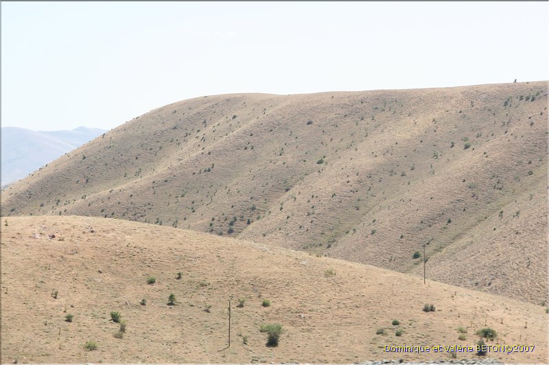 TR2007_0113