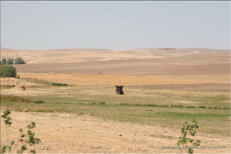 TR2007_0122