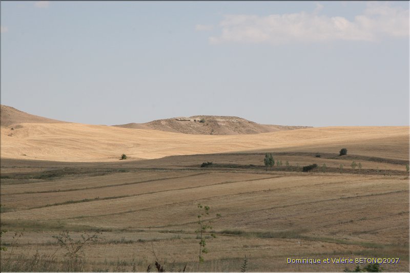 TR2007_0127