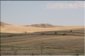 TR2007_0127