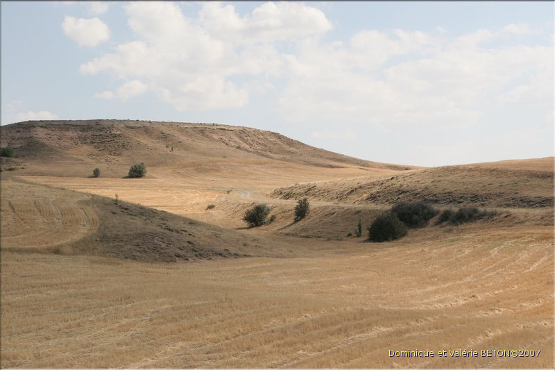 TR2007_0128