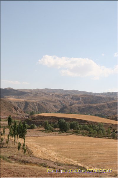 TR2007_0132