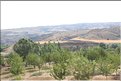 TR2007_0133