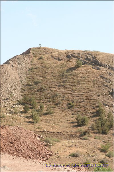 TR2007_0134