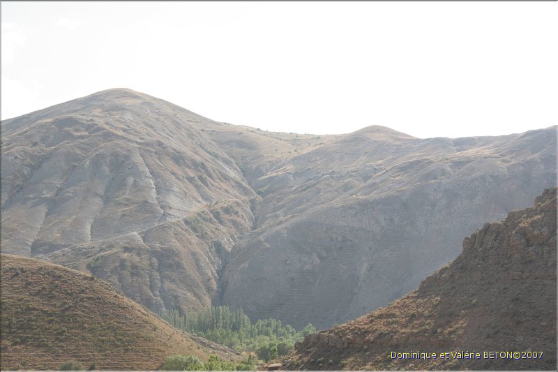 TR2007_0136