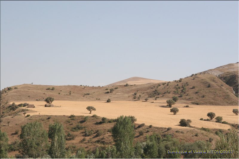 TR2007_0139