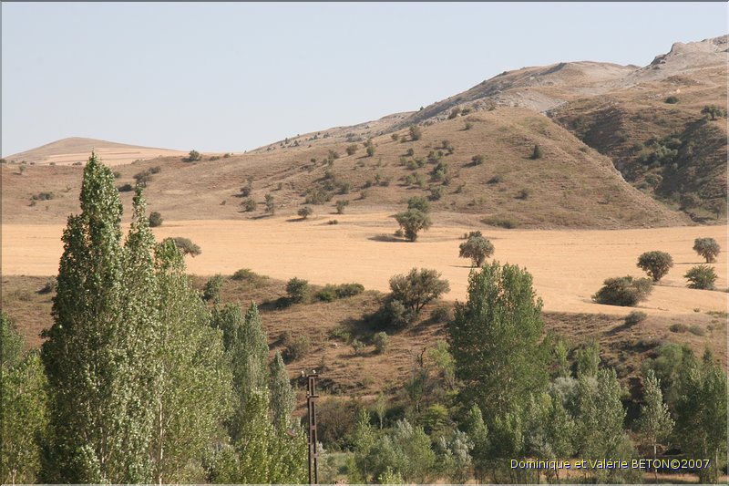 TR2007_0140