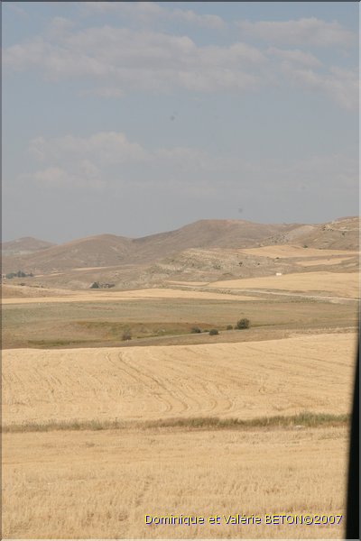 TR2007_0144