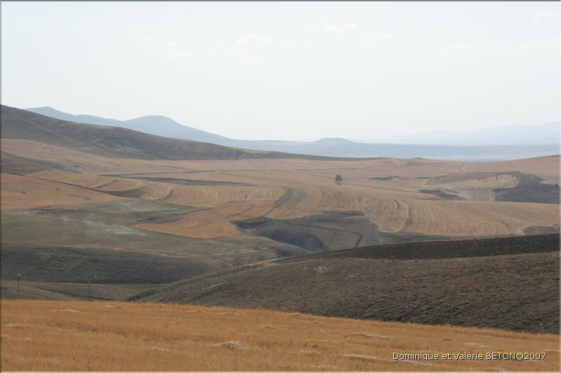 TR2007_0145