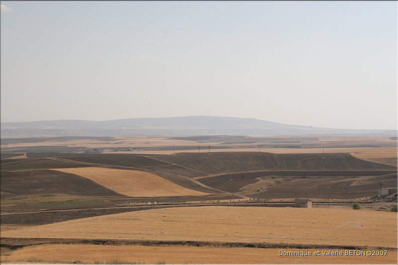 TR2007_0147