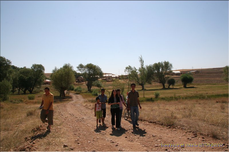 TR2007_0181
