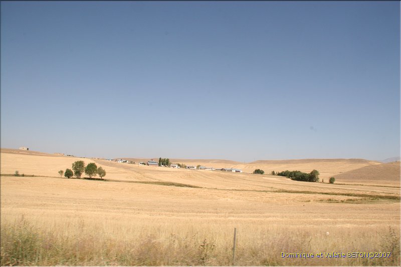 TR2007_0194