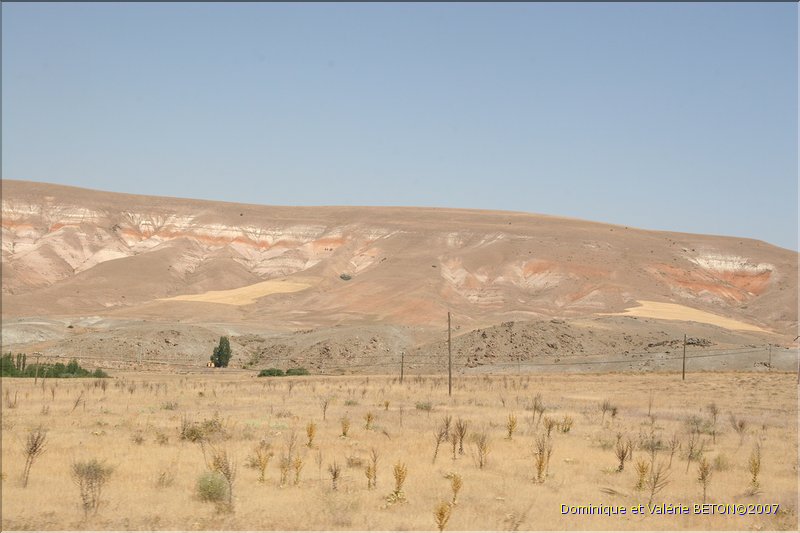TR2007_0196