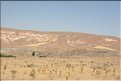 TR2007_0196