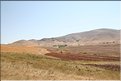 TR2007_0198